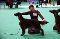 Crufts2011 643